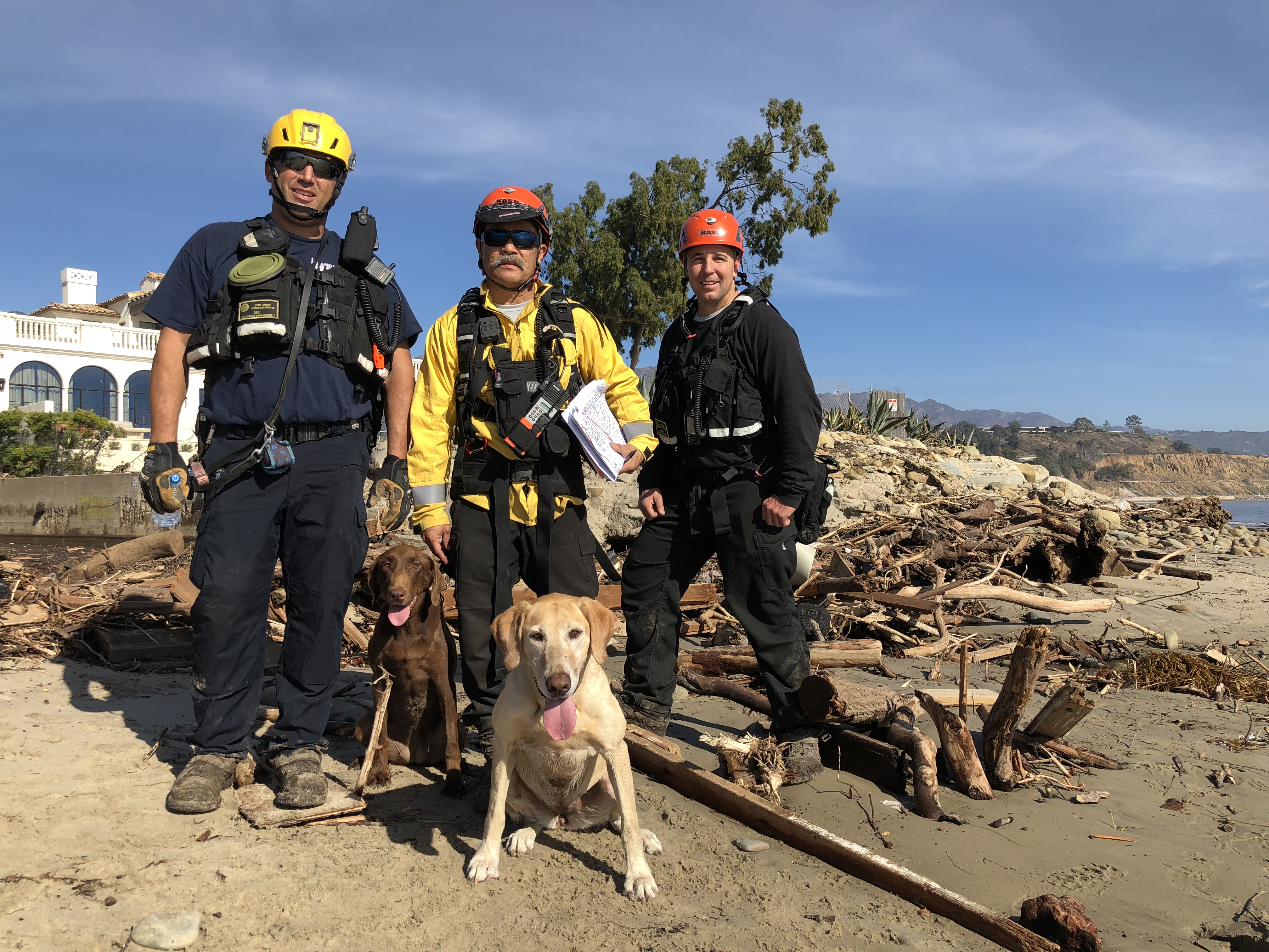 Subject with two others and search dogs on beach with mudslide debris