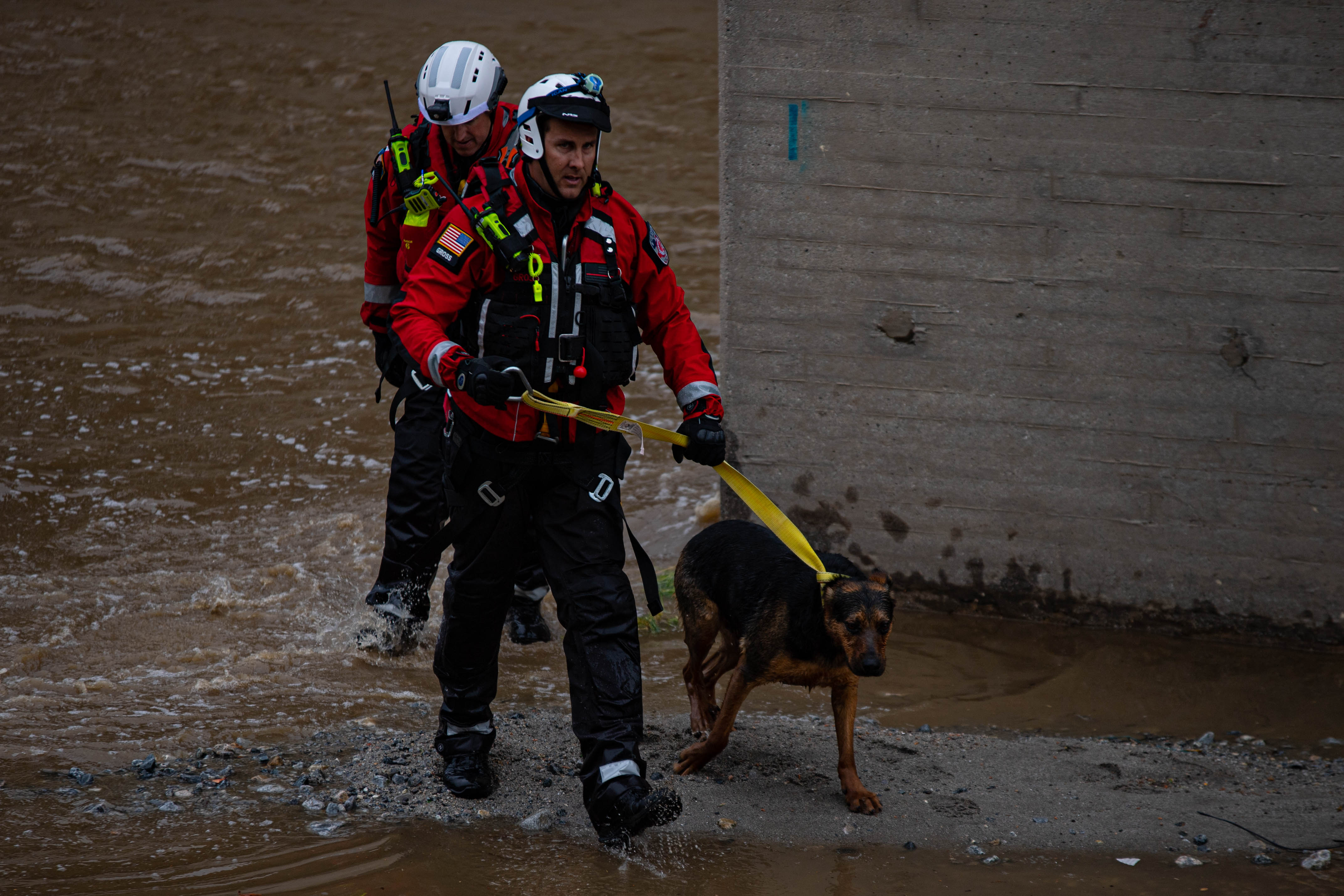 Firefighter with strap leashed to dog